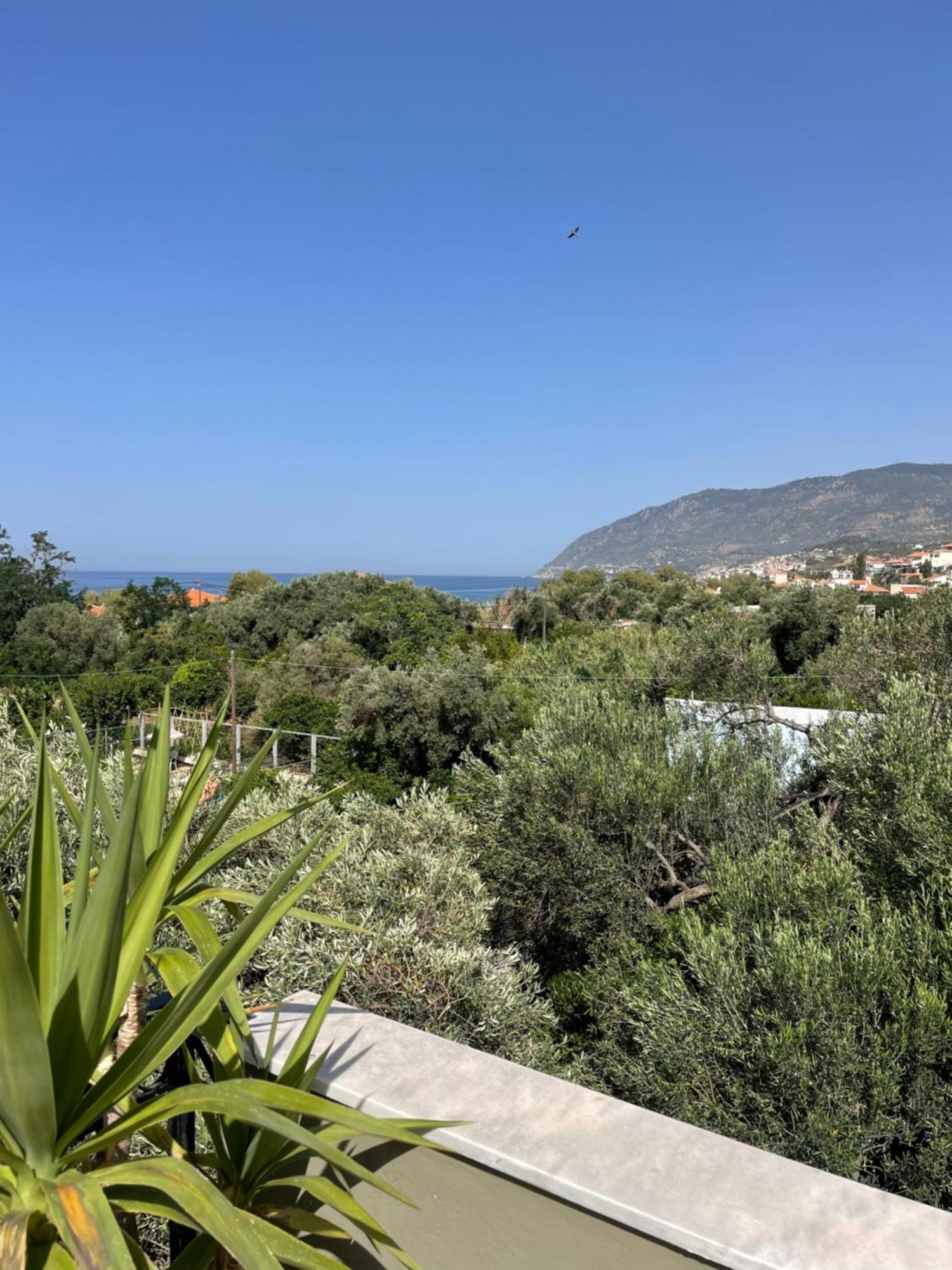 Beachfront Estate In Agios Isidoros Holiday home Plomari
