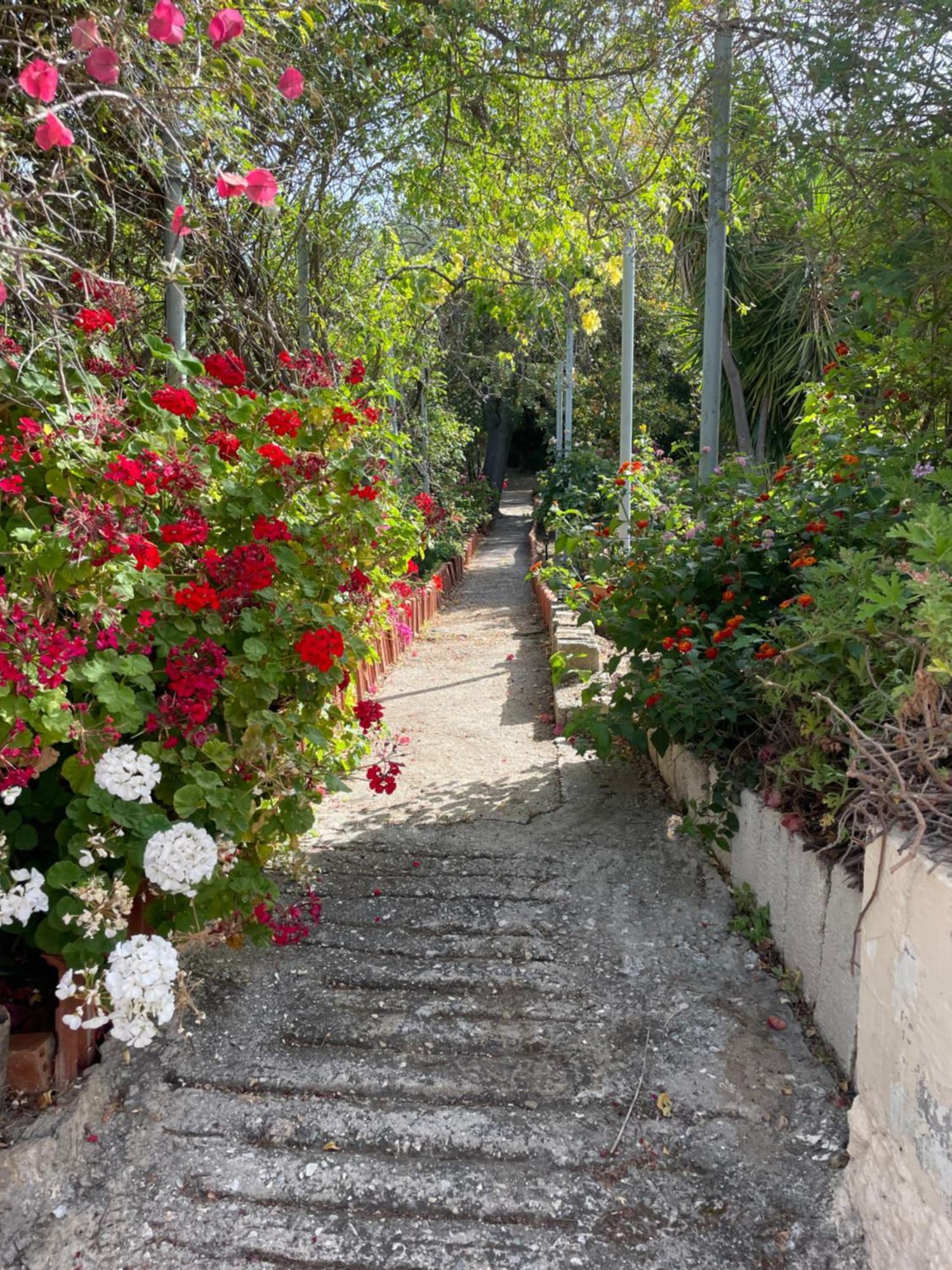 Beachfront Estate In Agios Isidoros Holiday home *