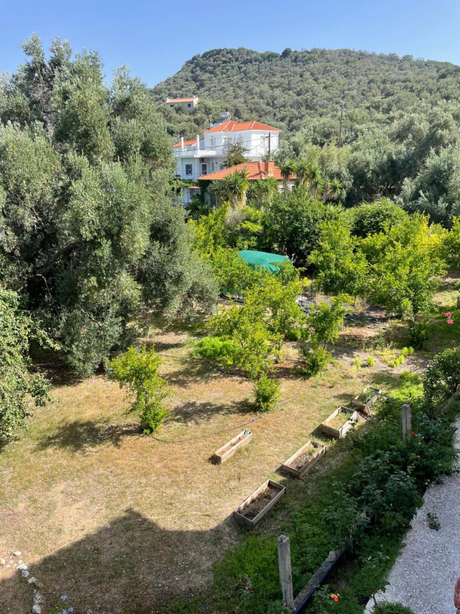 Beachfront Estate In Agios Isidoros Plomari