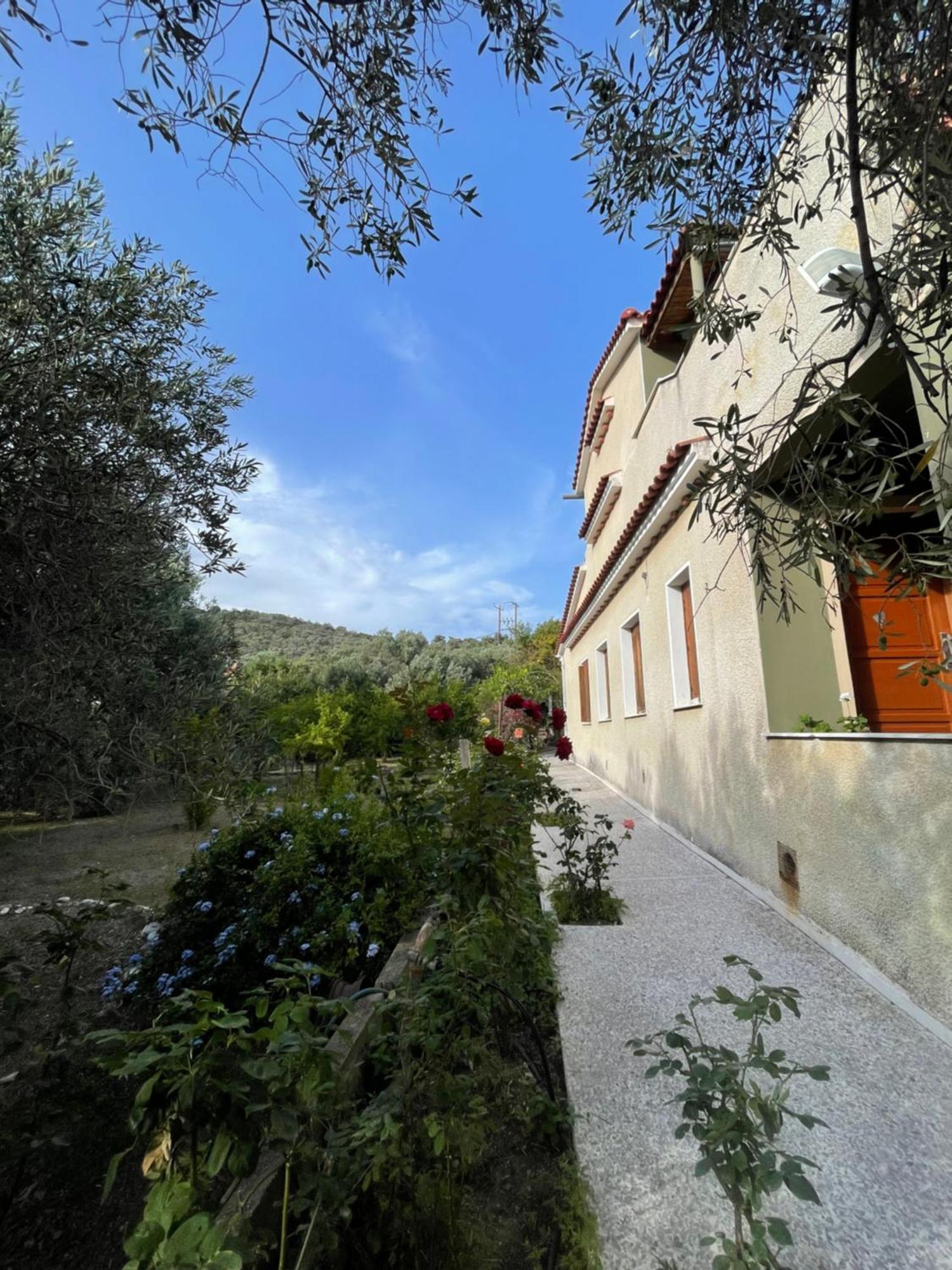 Beachfront Estate In Agios Isidoros